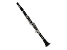 CL360 Clarinet (Bb) with Semi-Hard Carrying Case | J.Michael
