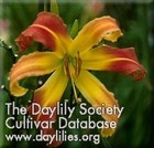 New ListingDaylily ~ Keene ~ 7* Large & Beautiful Spider ~ Daylilies Live Plant