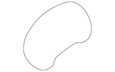 Genuine Nissan Instrument Panel Lens 24813-3YU1A