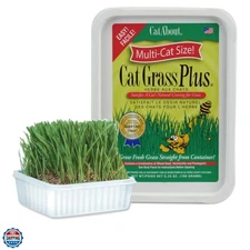 Cat A'bout Cat Grass Kit for Indoor Cats, 5.25 Ounce, Hairball Control, Anti-...