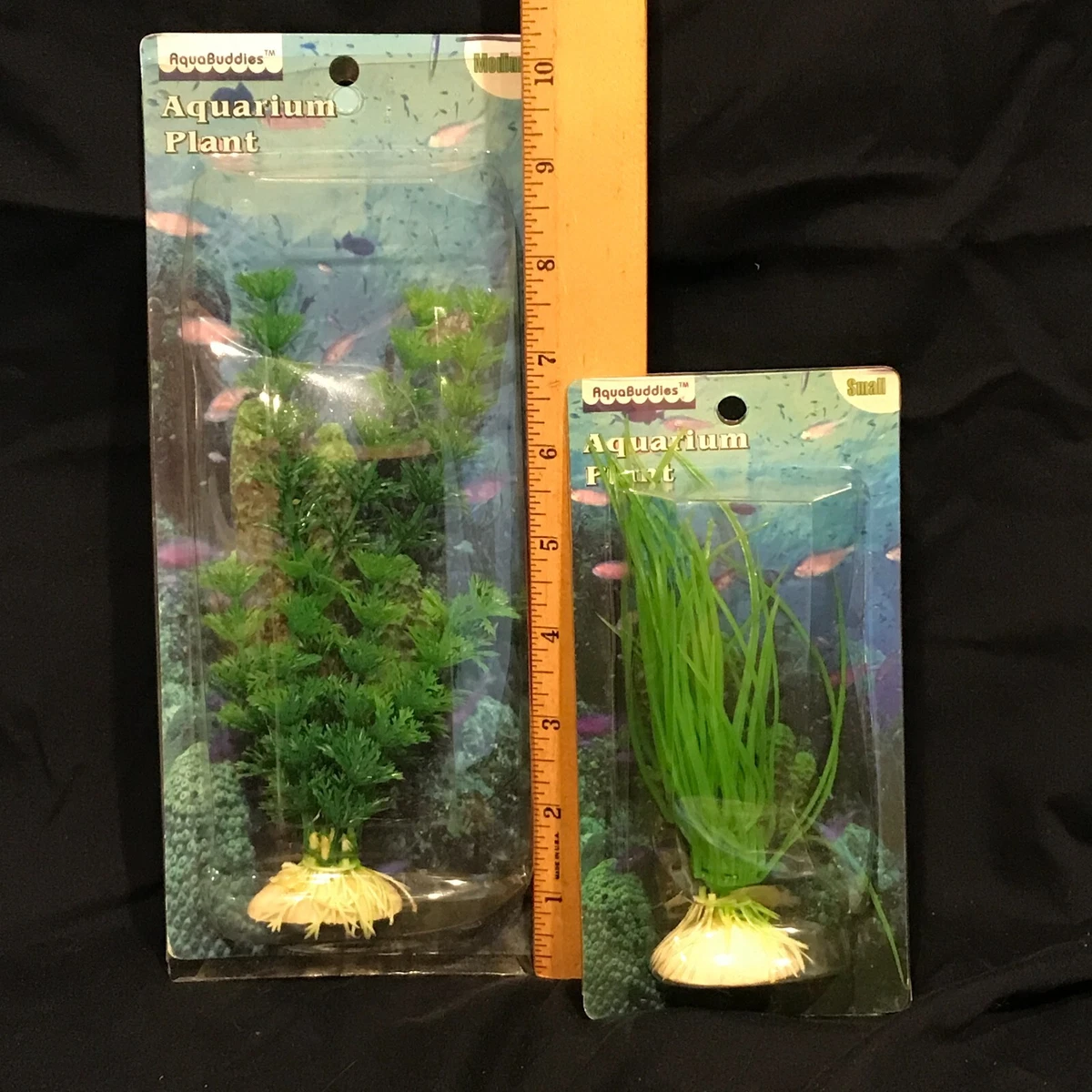 Ebay Aquarium Plants