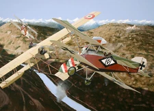 Aviation Art Post card Hansa-Brandenburg D.1 ace Godwin von Brumowski