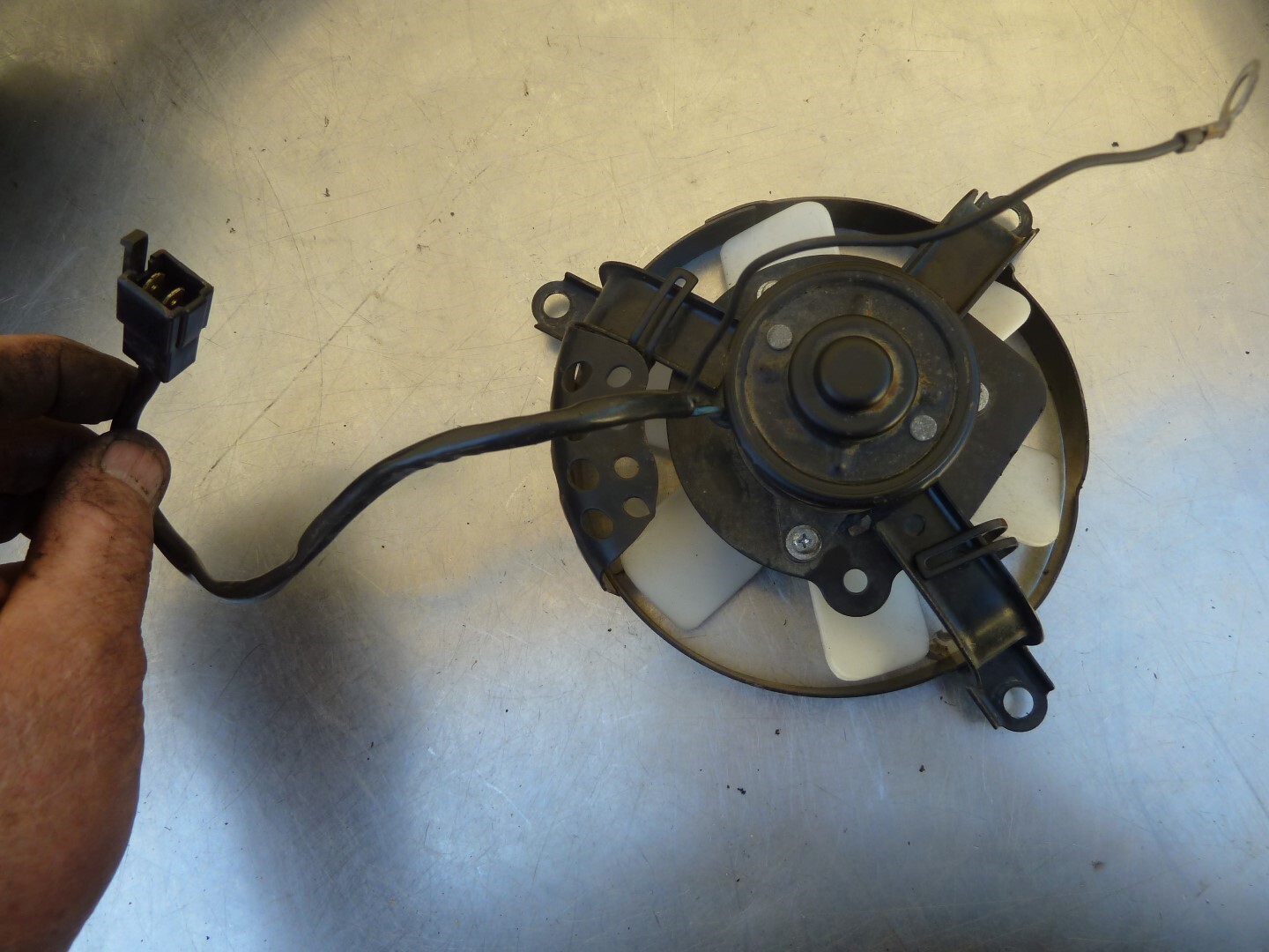 Radiator fan KLR650 8707 KLR 650 1st gen Kawasaki L2 eBay