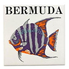 Hand Painted Bermuda Ceramic Tile Trivet Wall Art Tropical Fish Decor 5 7/8 in