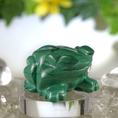 Malachit Frosch Figur Frosch Skulptur Gravur Schnitzerei 40 mm 45,5 g Kongo