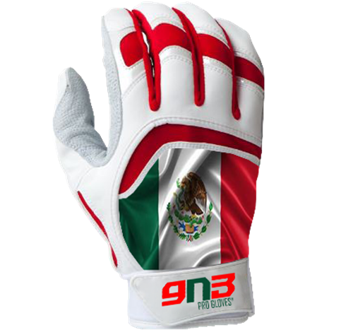 9N3 Country Flags Schlaghandschuhe (Ziegenleder) *fällt kleiner aus* - Bild 13 von 20