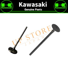 KAWASAKI Genuine OEM Part 12004-0760 /12005-0780 Intake and Exhaust Valve Set