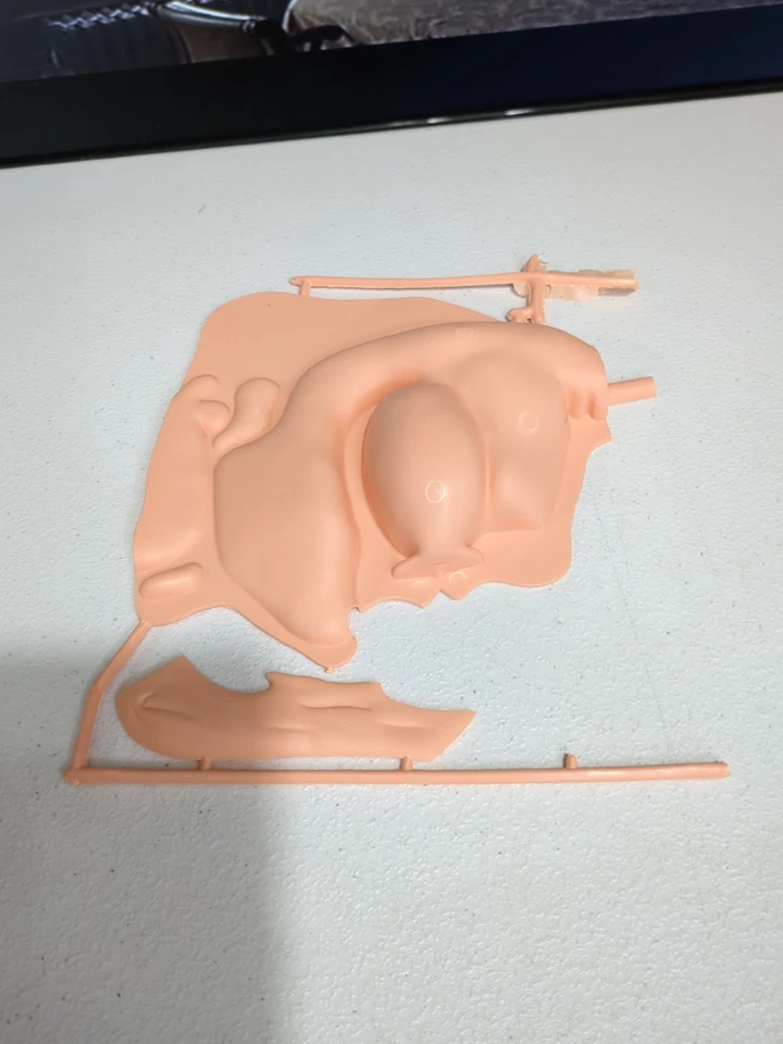 Vintage 1968 Pyro Nose Mouth Anatomy Life Size Model Kit Unassembled Complete - Image 3 of 4