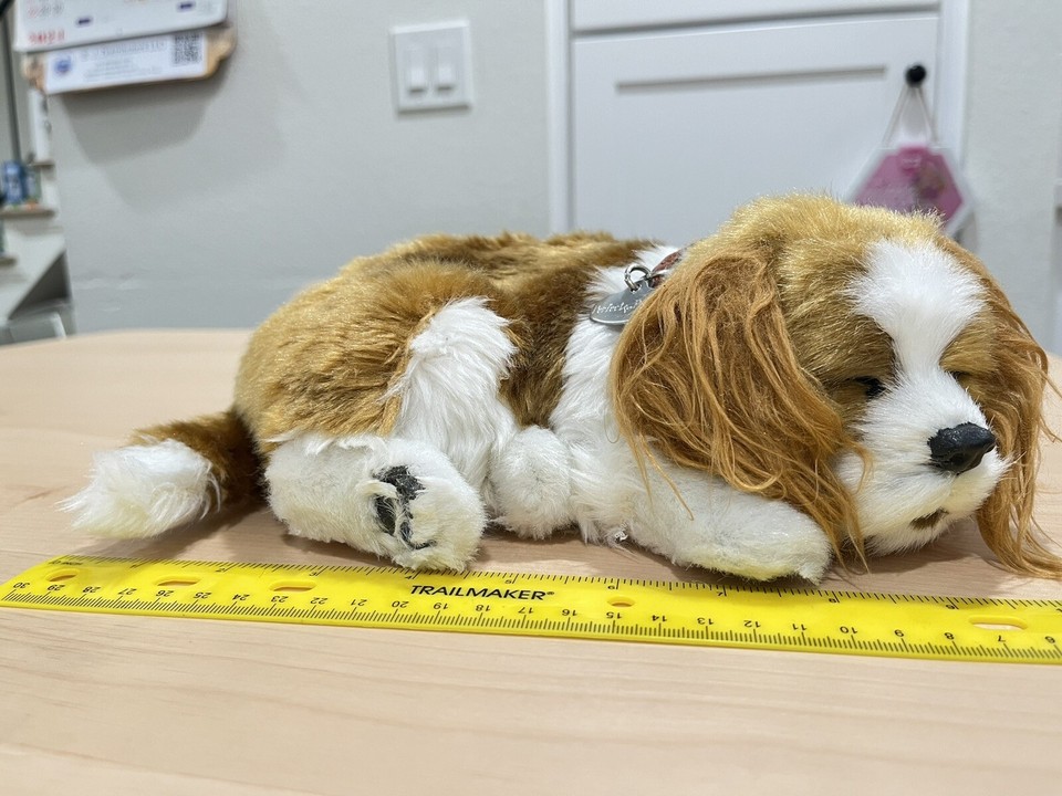 Filhote de Pelúcia que Respira Cavalier King Charles Perfect Petzzz | Brasil