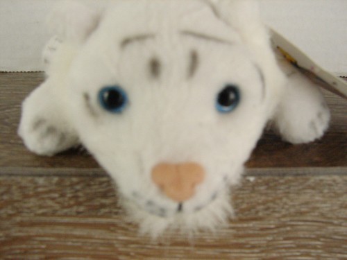 Ganz 1996 tiny toss'ems Cyrena Tiger CH1722 - Bild 2 von 8