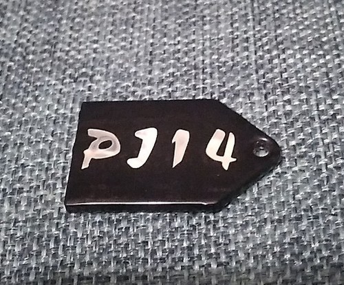Genuine Washburn PJ14 Guitar Truss Rod Cover PJ-14 - Picture 2 of 3