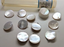 Lot of 12 Dill Polished Shelll Buttons with shank 1.25" Round SM