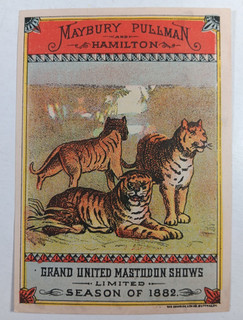 12. 1882 CIRCUS TRADE CARD Maybury Pullman Courier LItho Buffalo TIGERS
