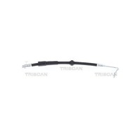 Bremsschlauch F10X1 & M10X1 Triscan Iam-Expertise FüR U.A. Renault Kangoo