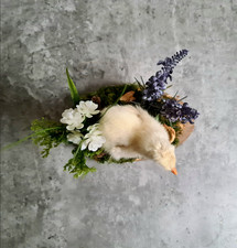 Echtes Küken -  Handmade Taxidermy - Tierpäparation - Vulture Culture Deko