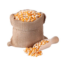 Mais 25kg, Futtermais gekörnt aus aktueller regionaler deutscher Ernte