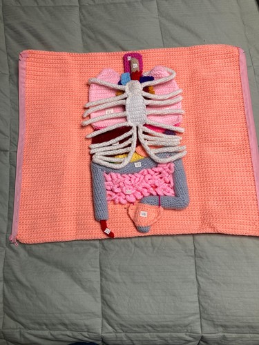 ANATOMY MODEL HANDMADE CROCHET MEDICAL REFERENCE HUMAN INSIDES STUDY GUIDE ODD