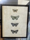 Butterfly Mirror/Picture 16”X14” Wall  Decor — photo 2