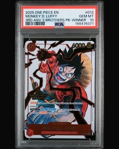 3rd Anniversary Luffy | eBay