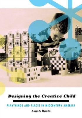 Designing the Creative Child by Amy F. Ogata PAPERBACK 9780816679614