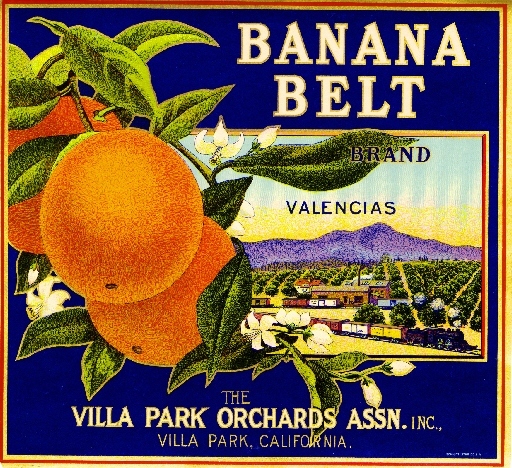 Villa Park Banana Belt Orange Citrus Fruit Crate Label Art Print