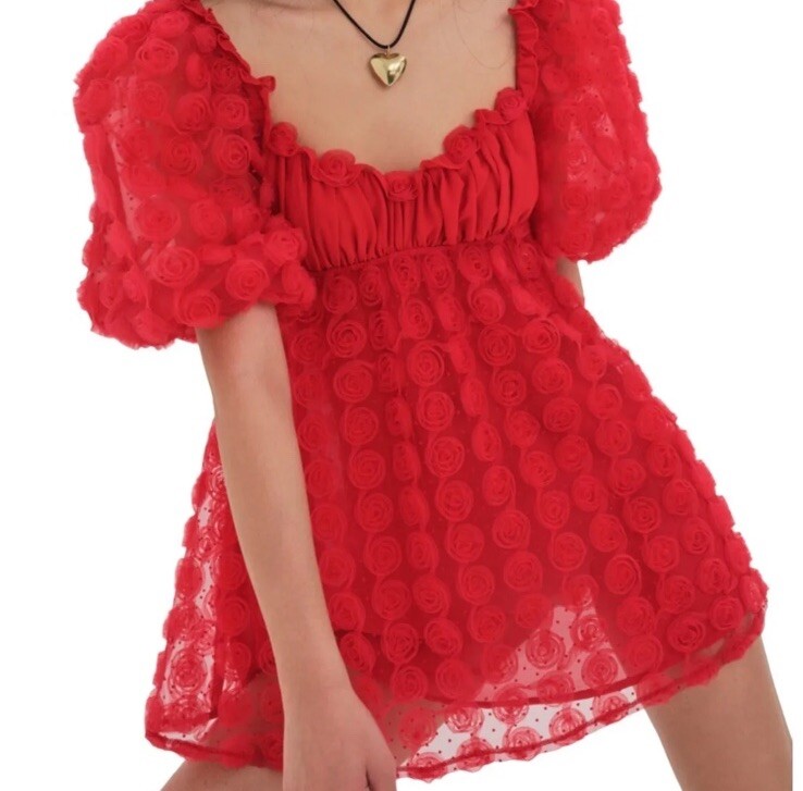 knee length dresses for ladies Plus Size For Love & Lemons Chiffon Rose Applique Mini Dress