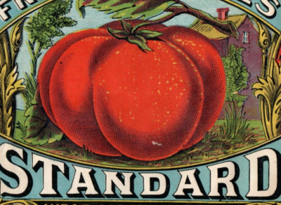 1870s-80s West Jersey Packing Co. Tin Can Standard Fresh Tomatoes Label 3M