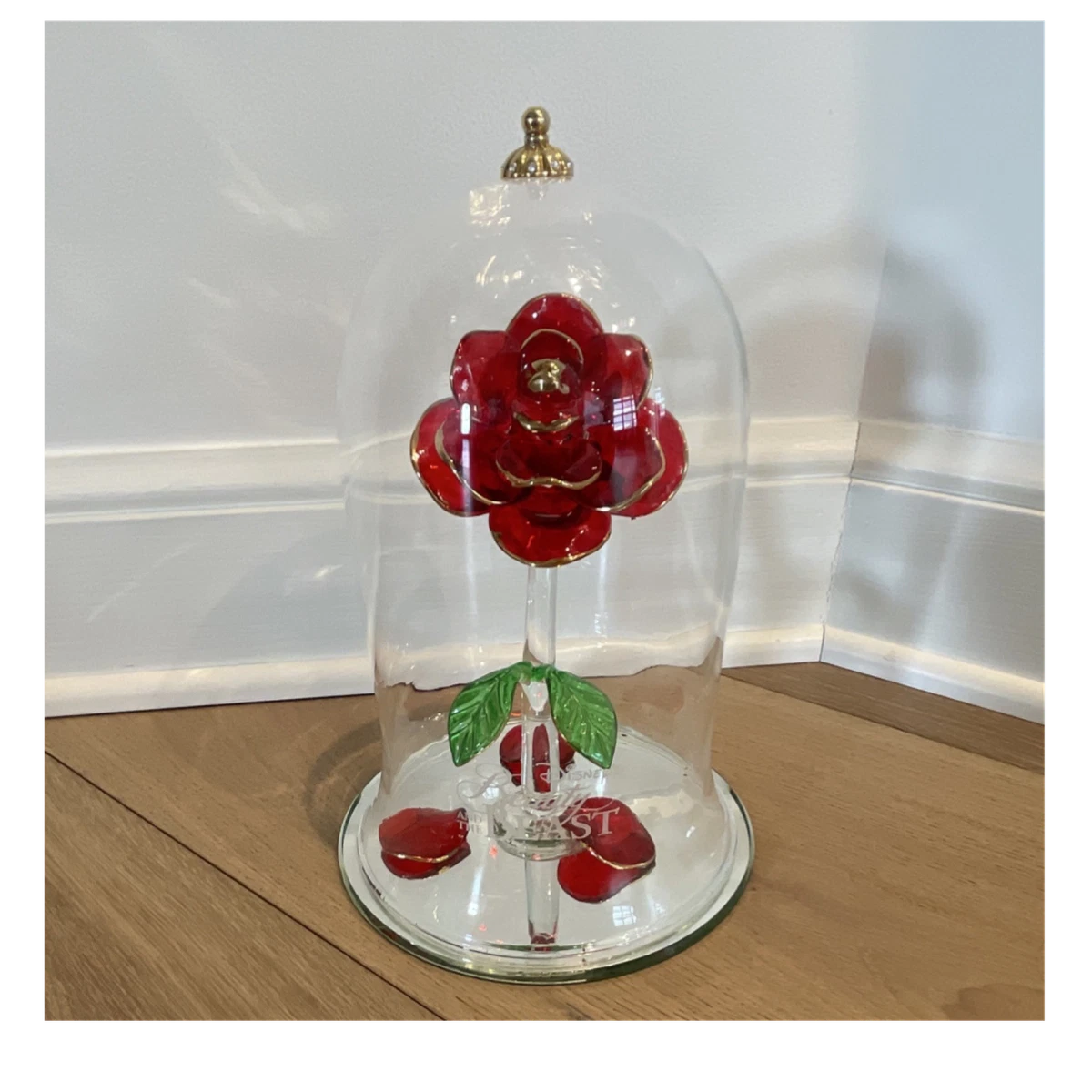 Beauty & The Beast Rose for sale | eBay