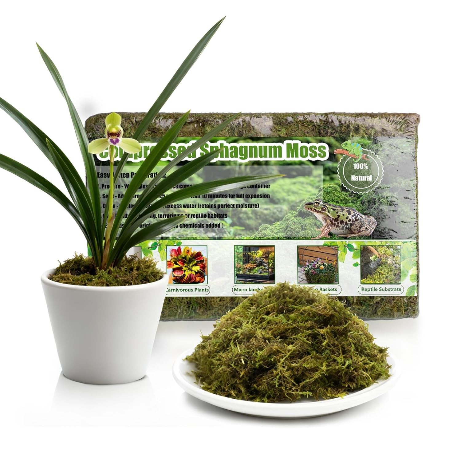 Premium Sphagnum Moss, 150g Natural Moss for Orchid Potting Mix, Carnivorous Pl