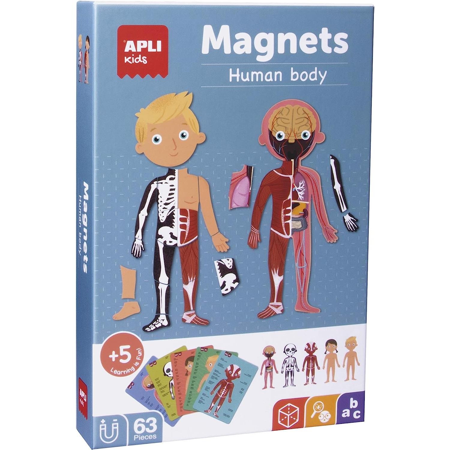 Jeu magnétique Apli corps humain 63 pièces pour occuper le mercredi
