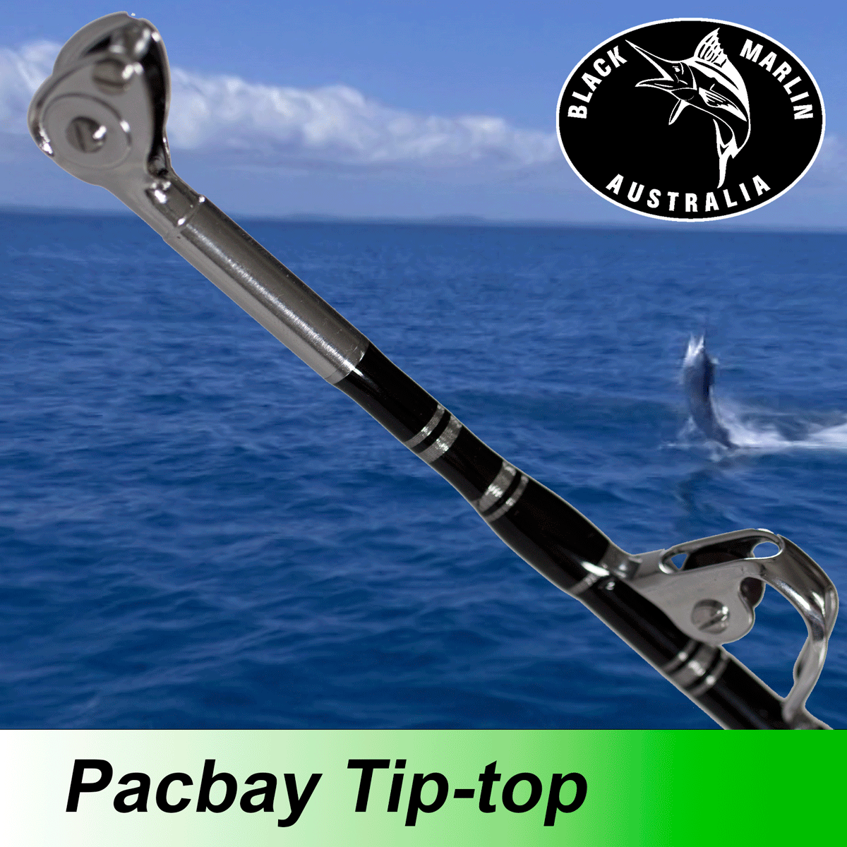 Overhead Standup BENT BUTT Full Pacbay 24kg Tuna Fishing Rod Suit