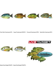 Live Target Sunfish Topwater Walking Bait 3.5" Hollow Body (SFH90T) Any 6 Color