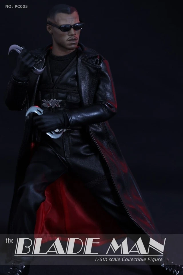 PC005 1/6 Blade Man Warrior Daywalker 12" Figura de Acción Coleccionable Modelo Juguete Foto 3 de 4