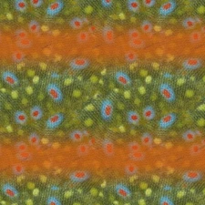 Rainbow Trout Scales- 18"x46" Hydrographic Film Hydro Dipping Dip Water Transfer