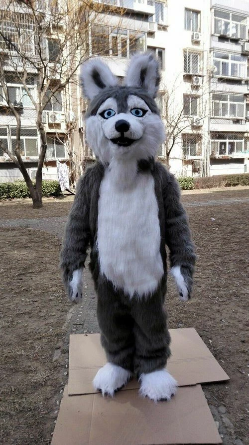 Halloween Fursuit Largo Piel Zorro Perro Husky Mascota Disfraz Traje Juegos con disfraces Fiesta  Foto 3 de 3