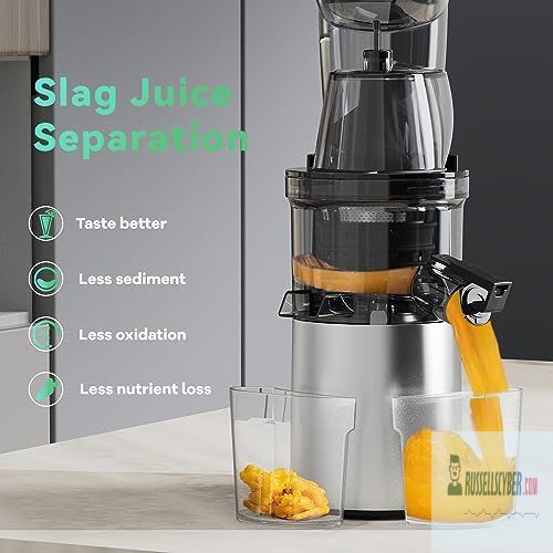 Masticating Juicer, 300W Professional Slow Juicer eBay