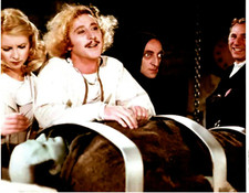 8x10 COLOR PHOTO of the ORIGINAL CAST of YOUNG FRANKENSTEIN