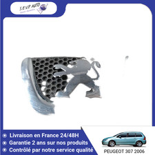 Calandre Peugeot 307