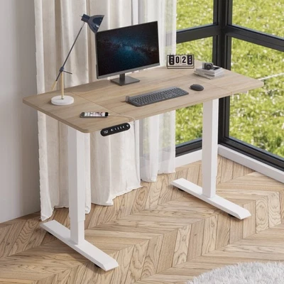 Modernchamp 48" Height Adjustable Standing Desk-20W Type-C Fast Charging Port