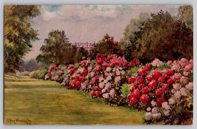 When Flowers are in Bloom Tucks Oilfacsim Ellen Warrington 3156 Postcard c1920s