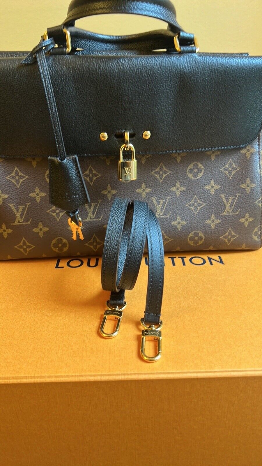 Authentic Louis Vuitton Miroir Microchip Bag