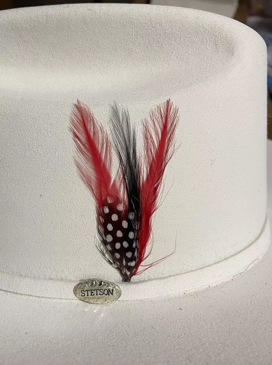 Stetson hat feathers hotsell