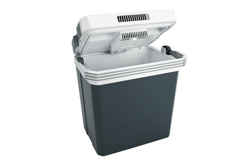 SAC ISOTHERME PLIABLE Glacière 10 L Cool Box Avec Bandoulière & Poignée