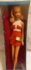 Vintage Barbie  Francie No Bangs Never Played With. Original Box And Assessories