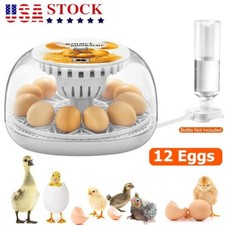 Egg Incubator 12 Eggs Incubator with Automatic Egg Turning for Hatching Eggs