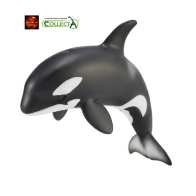 Orca Killerwal Kalb Sealife Spielzeug Modell Figur 88618 von CollectA Cake Topper
