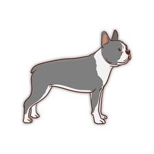 Gray Boston Terrier Sticker Vinyl Decal Car Window Laptop Bull Dog Bumper