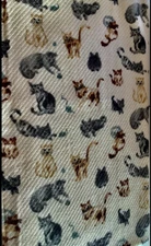 Bath Towel Cats Kittens by Charmont Brand Cotton 26” x 50” Kitten Playing NWT