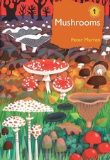 Mushrooms: The natural and human world of British fungi (British Wildlife Colle