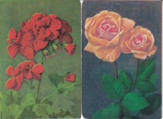 FLOWERS 2 BLANK BACKS single vintage playing cards
